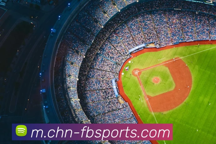 B体育平台生态图